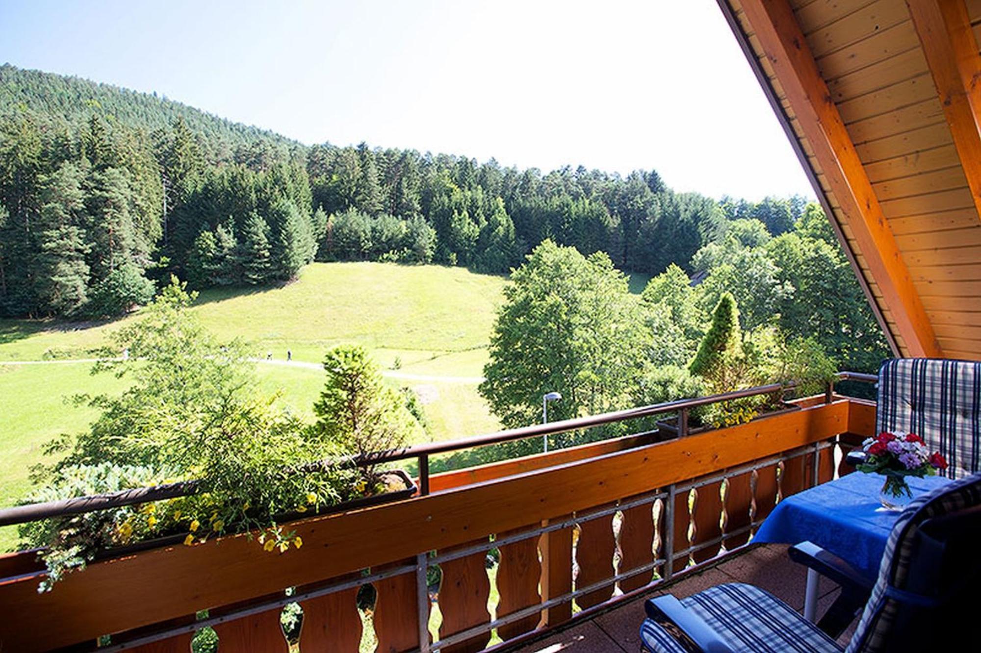 Landhaus Muehlengrund Διαμέρισμα Baiersbronn Εξωτερικό φωτογραφία