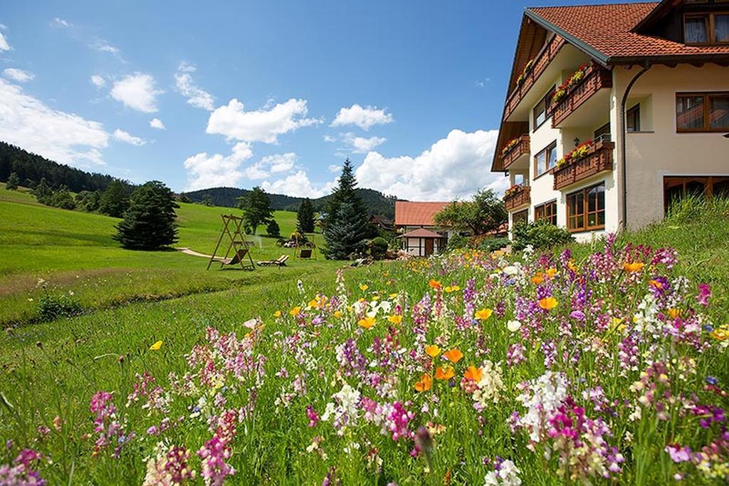 Landhaus Muehlengrund Διαμέρισμα Baiersbronn Εξωτερικό φωτογραφία